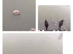 -南通濠河风景名胜区