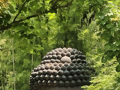 -杭州植物园