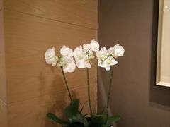 -Waterfall瀑布湾优健源(华侨城店)