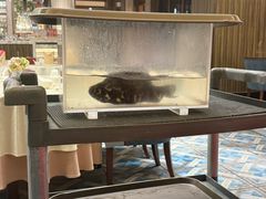 -利苑酒家(金宝店)