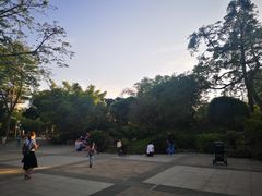 -晓港公园