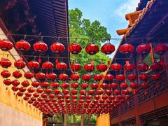 -亭林园-华藏寺