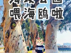 -滇池海埂公园