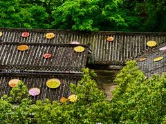 -巴倒烫陆派火锅山庄(南山总店)