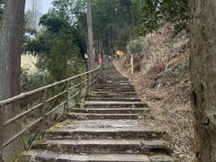 -东天目山风景区