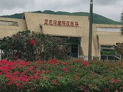 -亚龙湾国际玫瑰谷