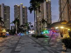 -三亚湾红树林度假世界(木棉酒店)