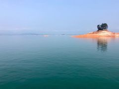 -河源万绿湖美思威尔顿酒店