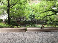 -香港大学