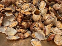 -浩运·海鲜青岛菜·海胆水饺(石老人店)