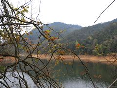 -广州市石门国家森林公园