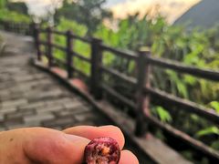 -羚羊峡古栈道森林公园