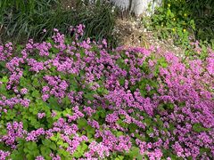 -玄武湖景区-情侣园游乐场