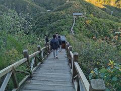 -大岭沟猕猴桃谷风景区