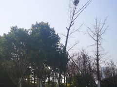 -滨湖塘西河公园
