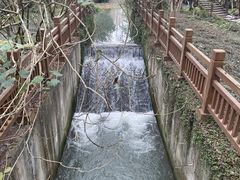 -桤木河湿地公园