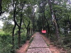 -雨花胜境
