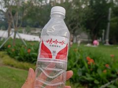 -阳台山森林公园