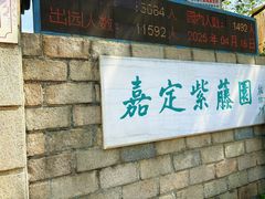-嘉定紫藤园