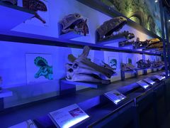 -中国西峡恐龙遗迹园