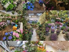 -双季花艺园艺市场(浦东店)