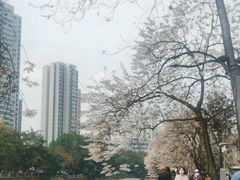 -红星桥(地铁站)