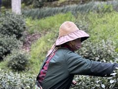 -十里琅珰
