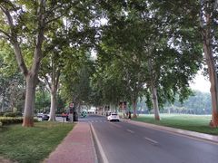 -河南省黄河迎宾馆