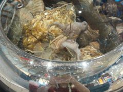 -大锅强·蒸海鲜青岛菜(吾悦广场店)