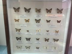 -陕西自然博物馆