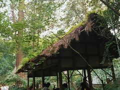 -成都杜甫草堂博物馆