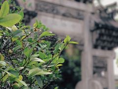 -佛山市祖庙博物馆
