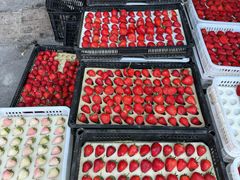 -南坛综合农贸市场