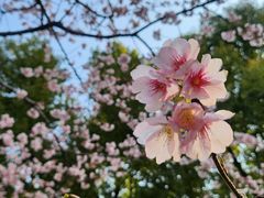 -静安雕塑公园