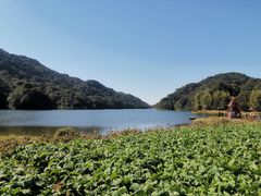 -广州市石门国家森林公园