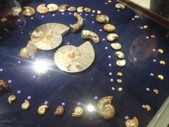 -青岛贝壳博物馆
