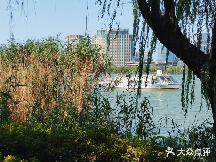 金鸡湖桃花岛图片
