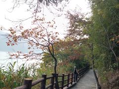 -羚羊峡古栈道森林公园