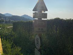 -红山村
