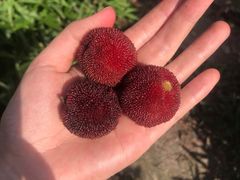 -金牛山大酒店(南北湖风景区店)