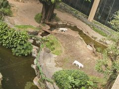 -广州长隆国际大马戏