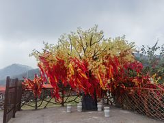 -东莞观音山旅游风景区