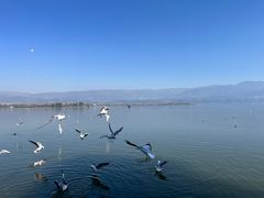 -西昌邛海湿地