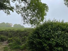 -南京市江宁方山