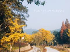 -五泄景区
