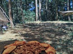 -重庆睡佛山森林公园