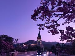 -美的鹭湖森林度假区