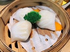 黑松虾饺-潮粥荟·潮汕砂锅粥(槐房万达店)