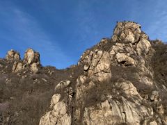 -大岭沟猕猴桃谷风景区