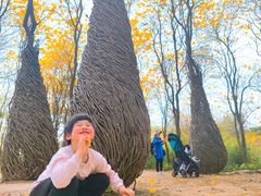 -天适樱花悠乐园
